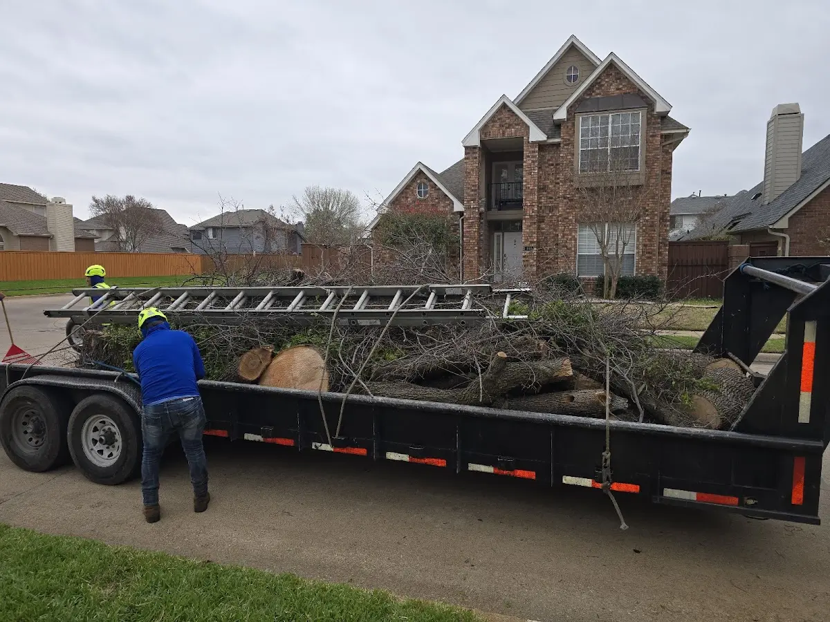 Expert Lot Clearing with proper safety equipment in Moran